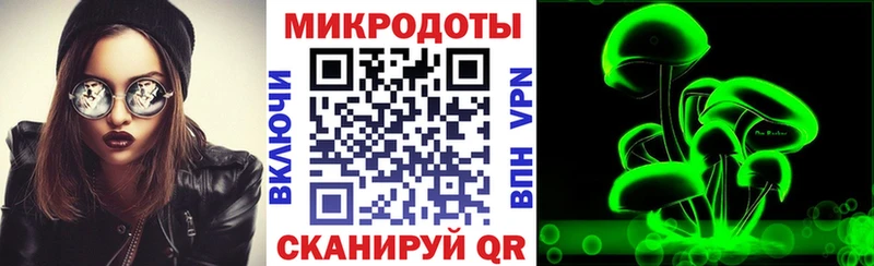 Псилоцибиновые грибы мухоморы Армавир