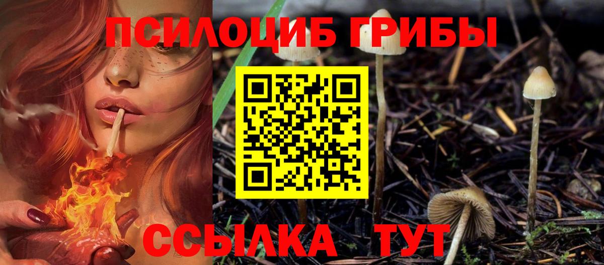 Галлюциногенные грибы мухоморы  Вход с VPN  Армавир  Псилоцибиновые грибы Magic Shrooms 
