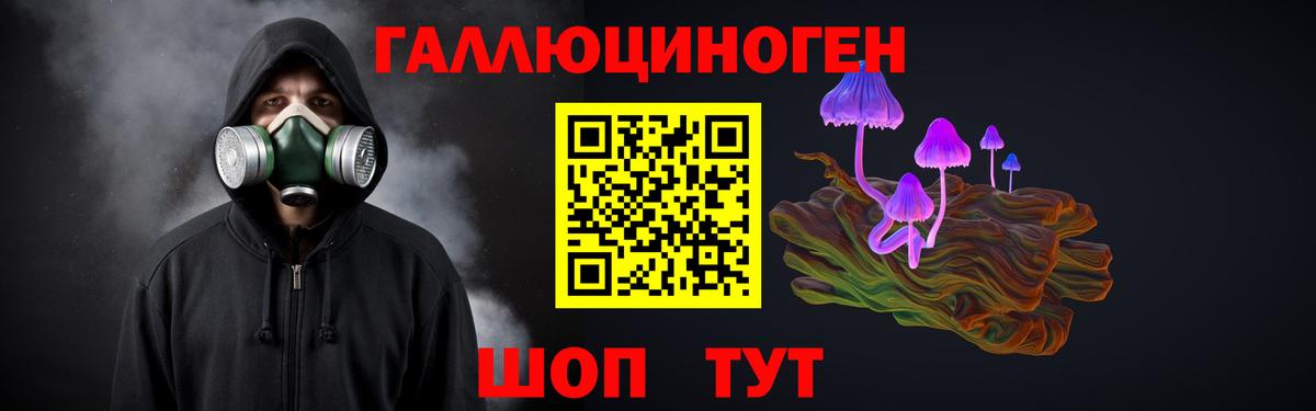 Галлюциногенные грибы мухоморы Армавир